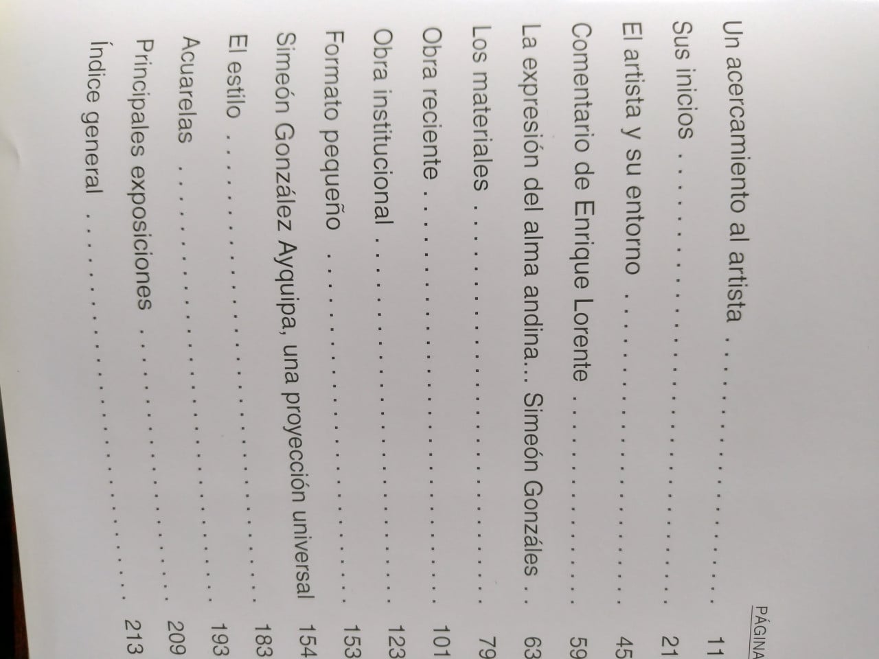 Bijzondere aanbieding 3 Acrylschilderijen van Simeon Gonzales + Boek !