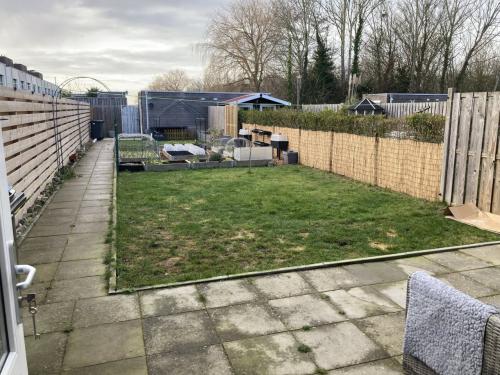 Rietmat Gevraagd Gratis