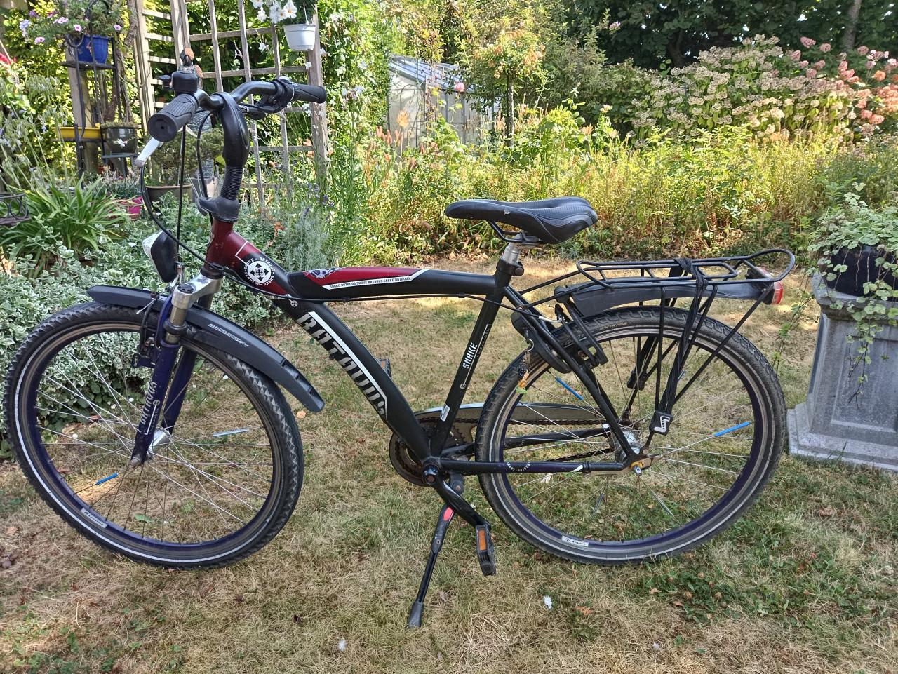 Batavus Snake 24 inch kinderfiets met 3 versnellingen
