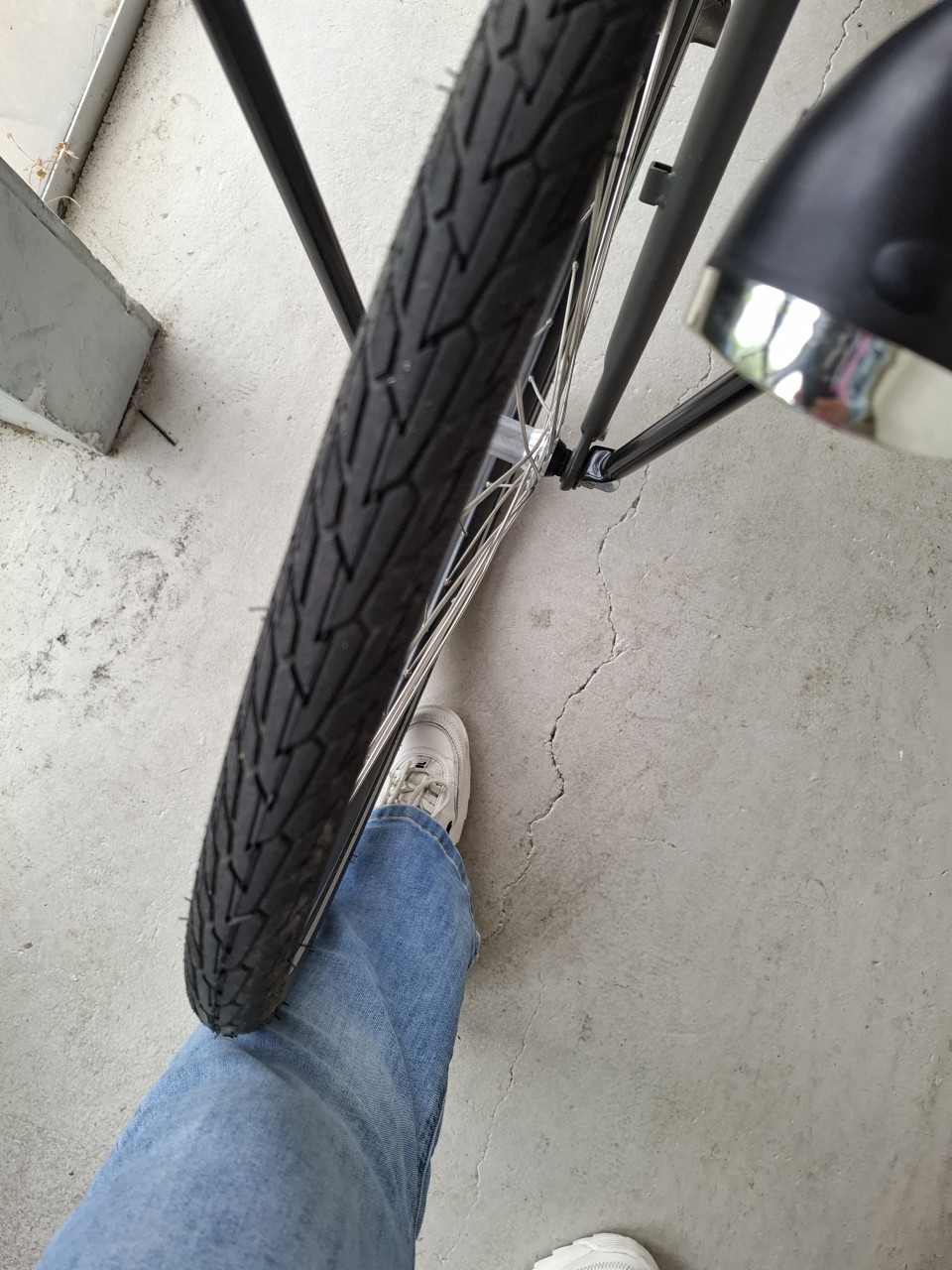 Azor stalen oma fiets