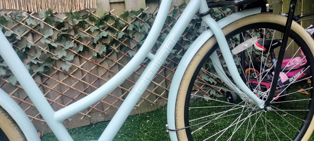 Spirit Cargo Damesfiets