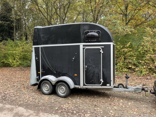 Humbaur Single van bouwjaar 2017 geschikt voor grote paarden