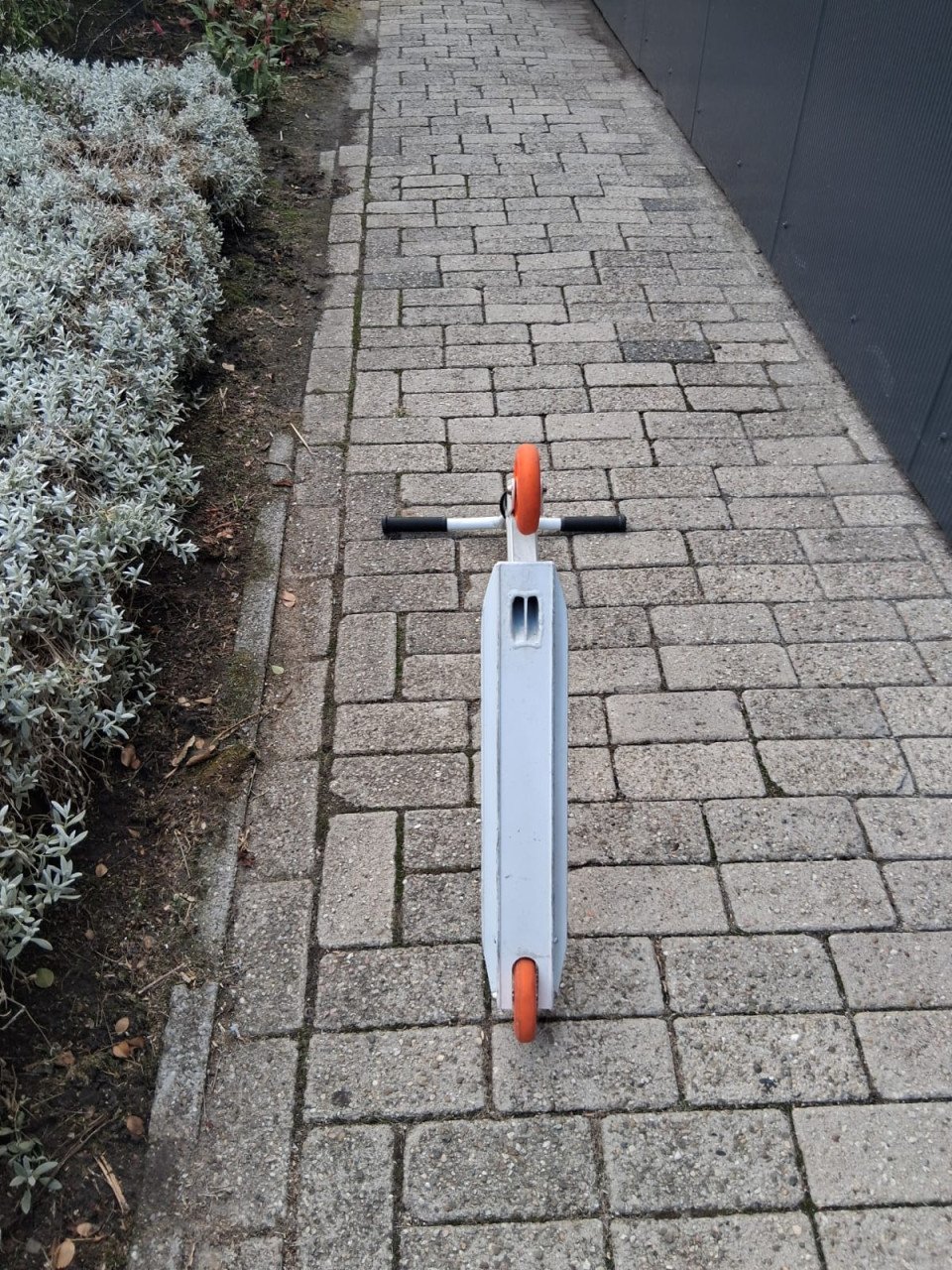 Stuntstep van Ridd