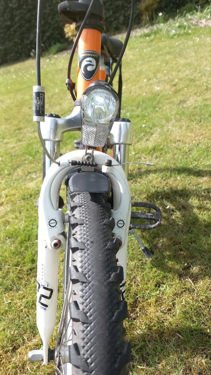 Batavus Snake 22 inch