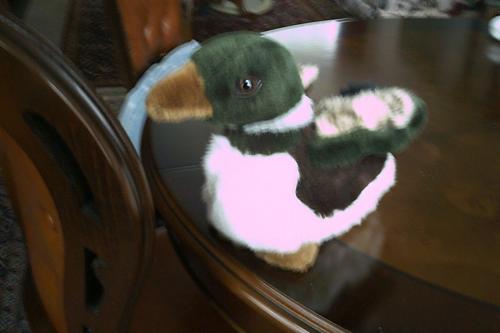 NIEUWE KNUFFEL . . .