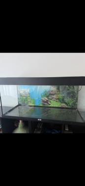 Juwel aquarium 180