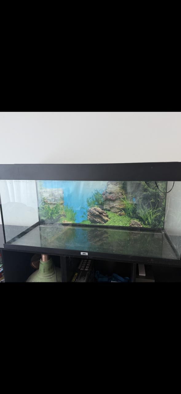 Juwel aquarium 180