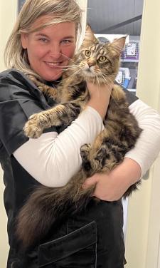 Professioneel Kattentrimsalon Met geduld, kennis en heel veel ervaring… ♥️