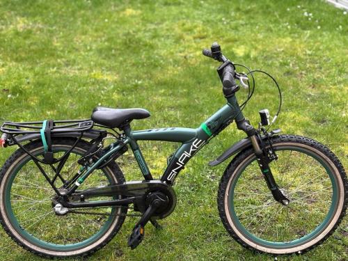 Loekie Snake 22 inch jongensfiets