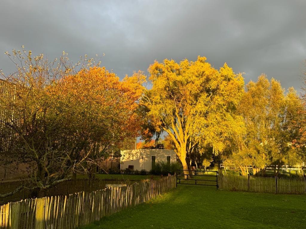 Vakantie- huurwoningen