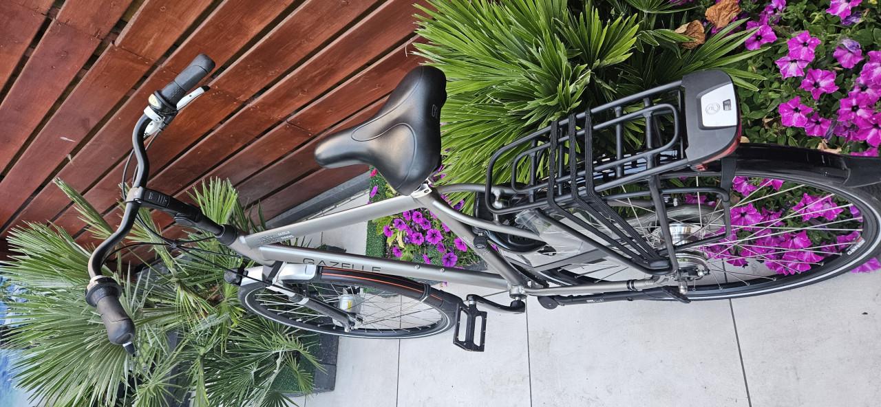 Gazelle Paris C7+ Herenfiets