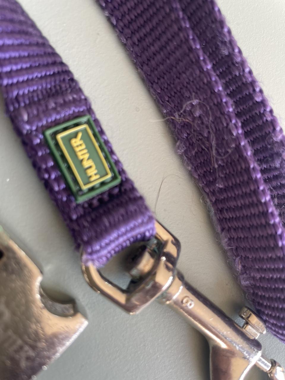 ZGAN HUNTER Kleine hond/Puppy bandjes plus Lijn IZGS!!