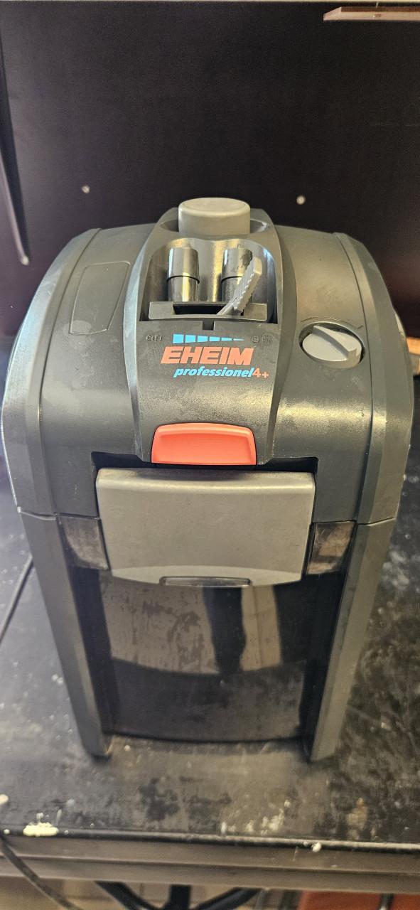 Eheim pro 4+