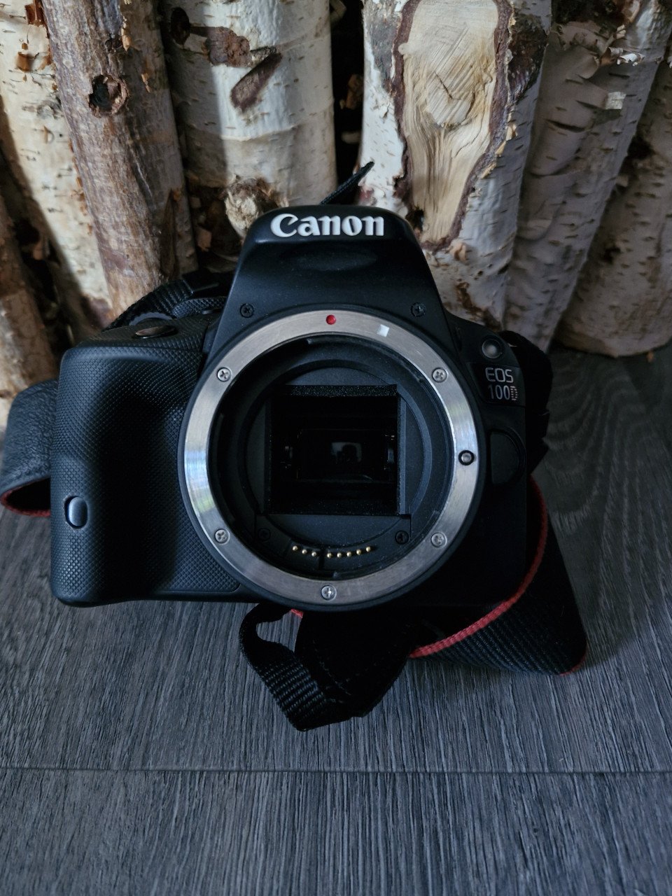 Canon 100d