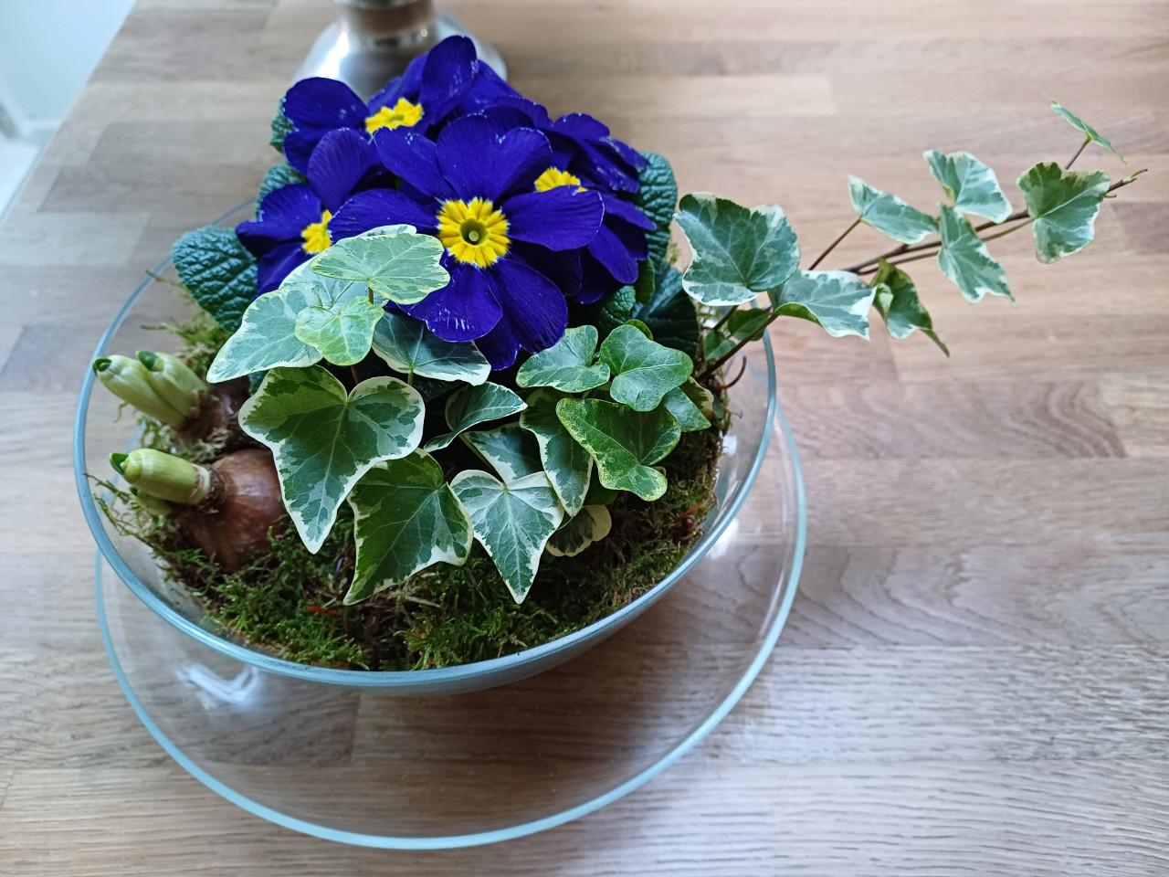 Glazen KOP + SCHOTEL: leuk met kerstdecoratie op TAFEL