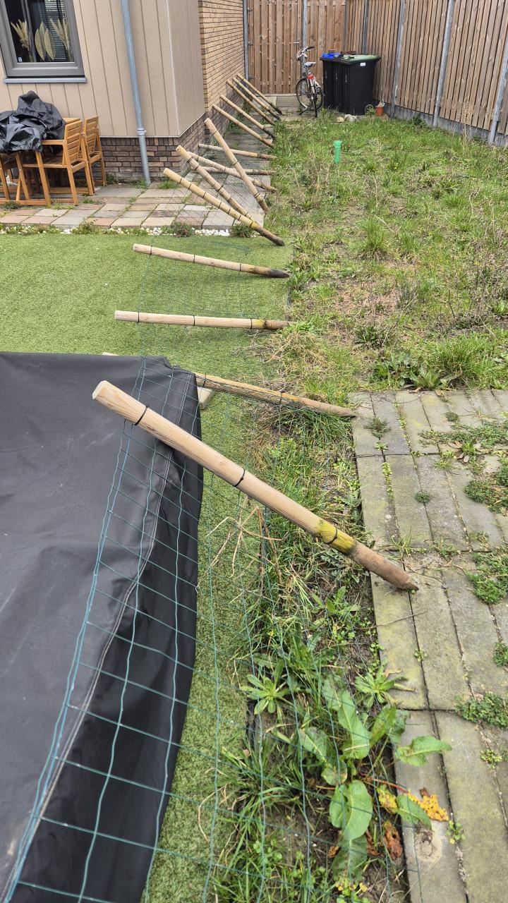 Gaashekwerk met houten paaltjes