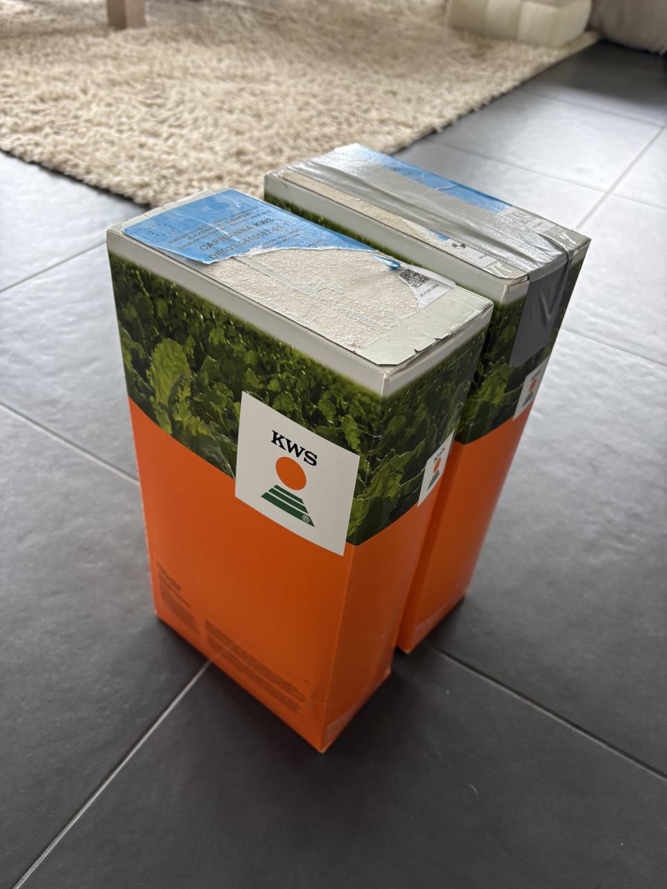 Bietenzaad Caprianna KWS Force