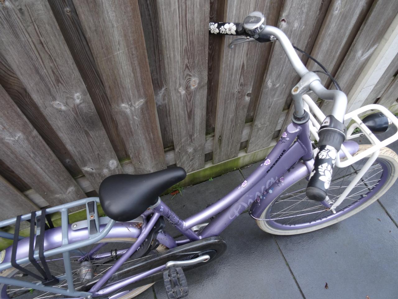🚲💜 Batavus Diva 24 inch Transport Meisjesfiets – Lila