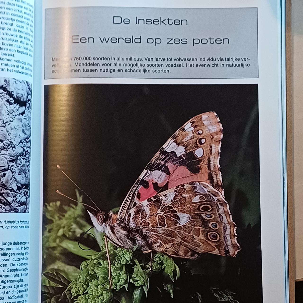 Natuur Encyclopedie
