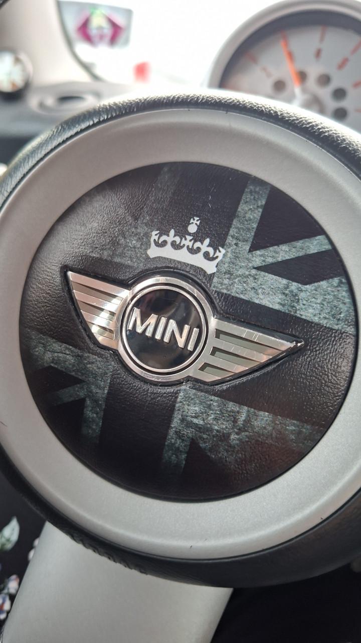 Liefhebbersproject: Mini Cooper S R53 2004