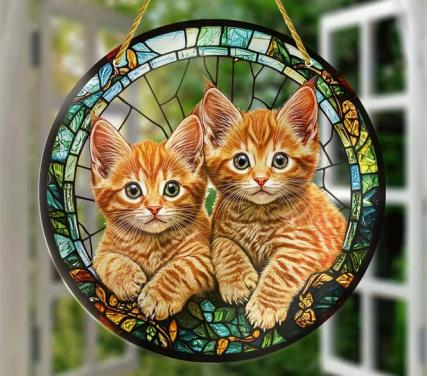 Raamhanger kitten