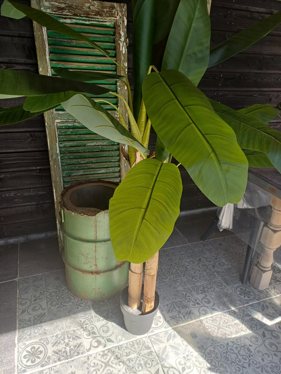 Grote kunst bananenplant