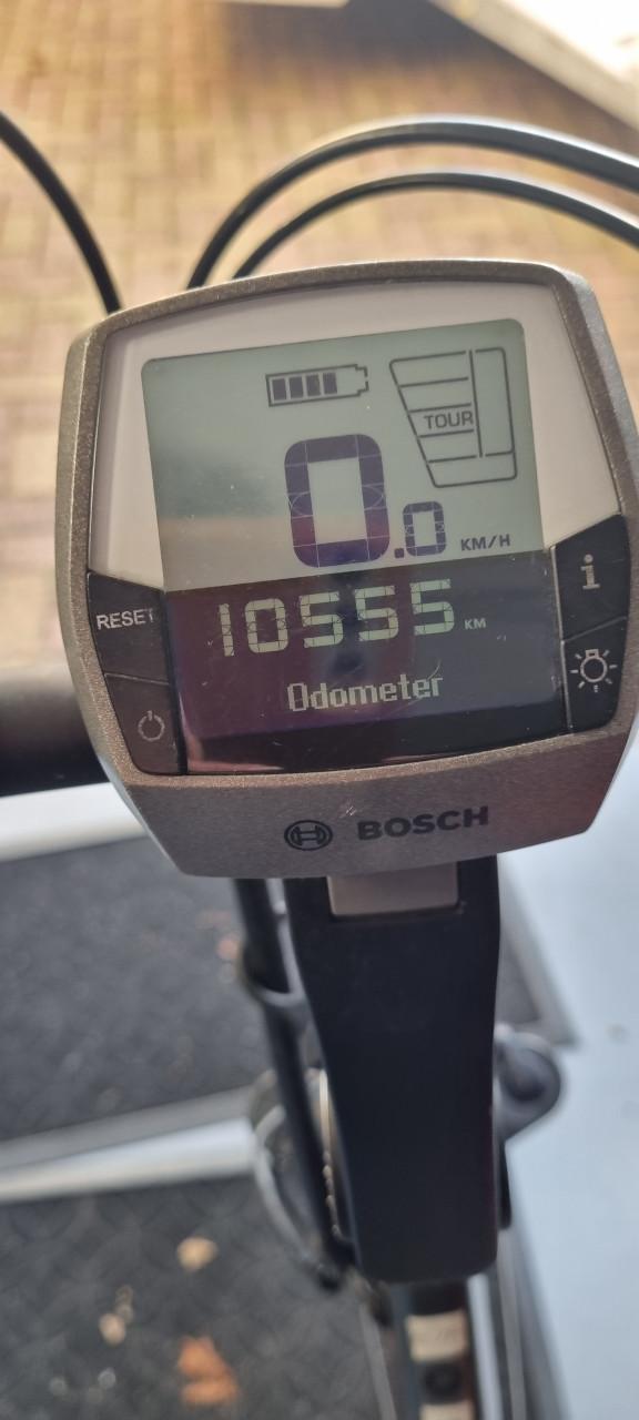 Bosch Pegasus Damesfiets