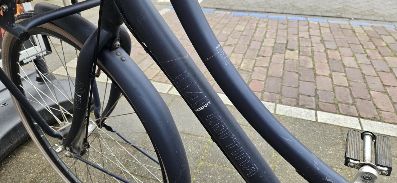 Cortina u4 transport fiets