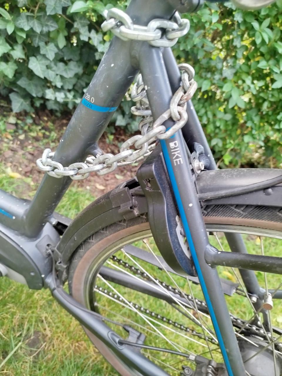 Diamond Liberty e-bike
