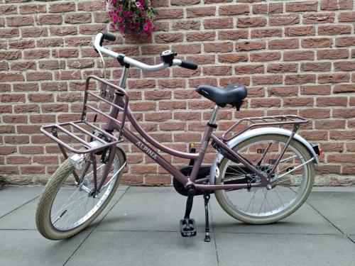 Alpina Cargo M20 inch meidenfiets