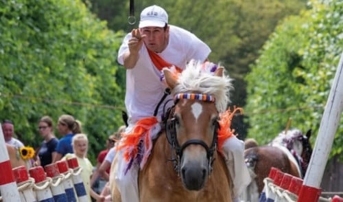 Zat. 6 Sept Ringsteken en Rommelroute in Wemeldinge
