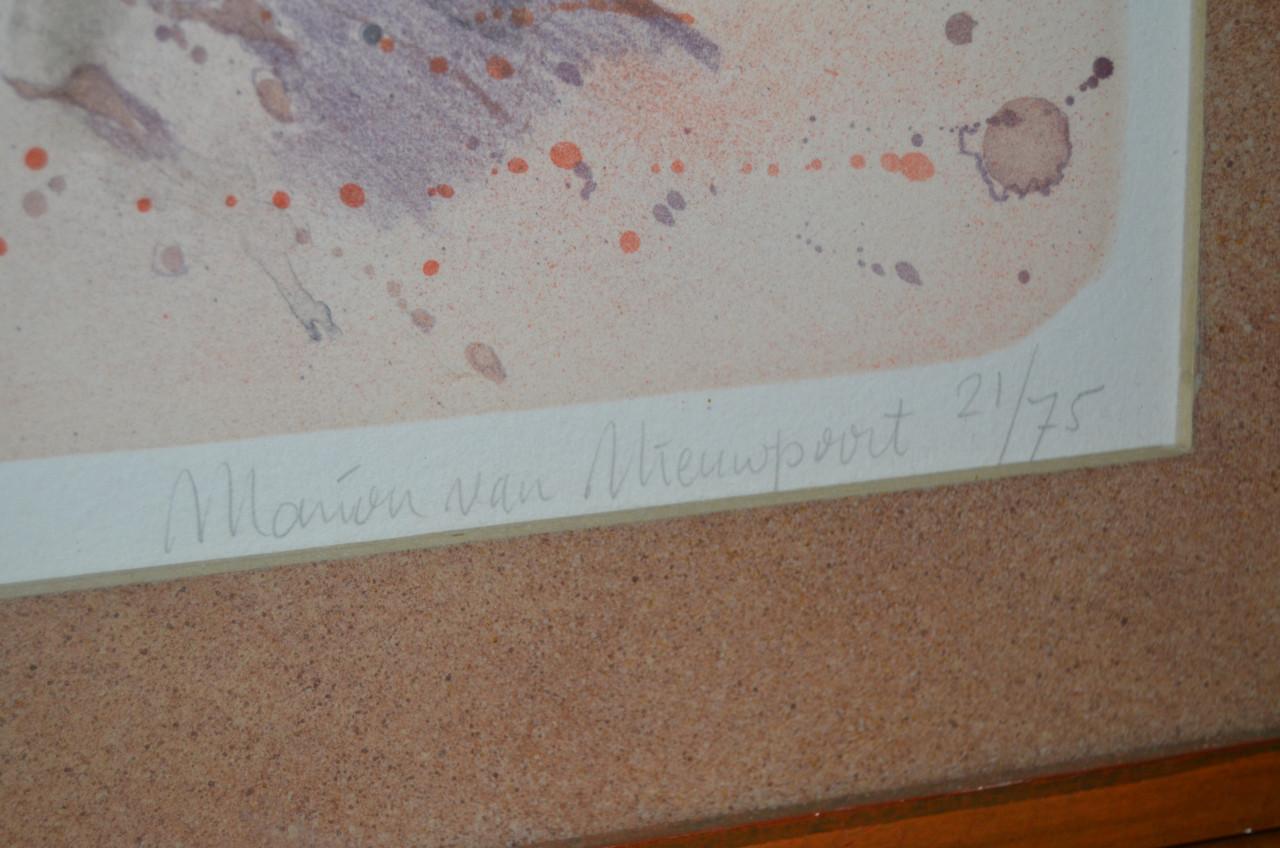 Grote litho Zee-land Marion van Nieuwpoort 21/75