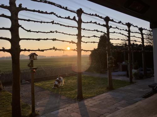 Professioneel Tuinonderhoud Walcheren & Zuid-Beveland | Vaste Prijzen!