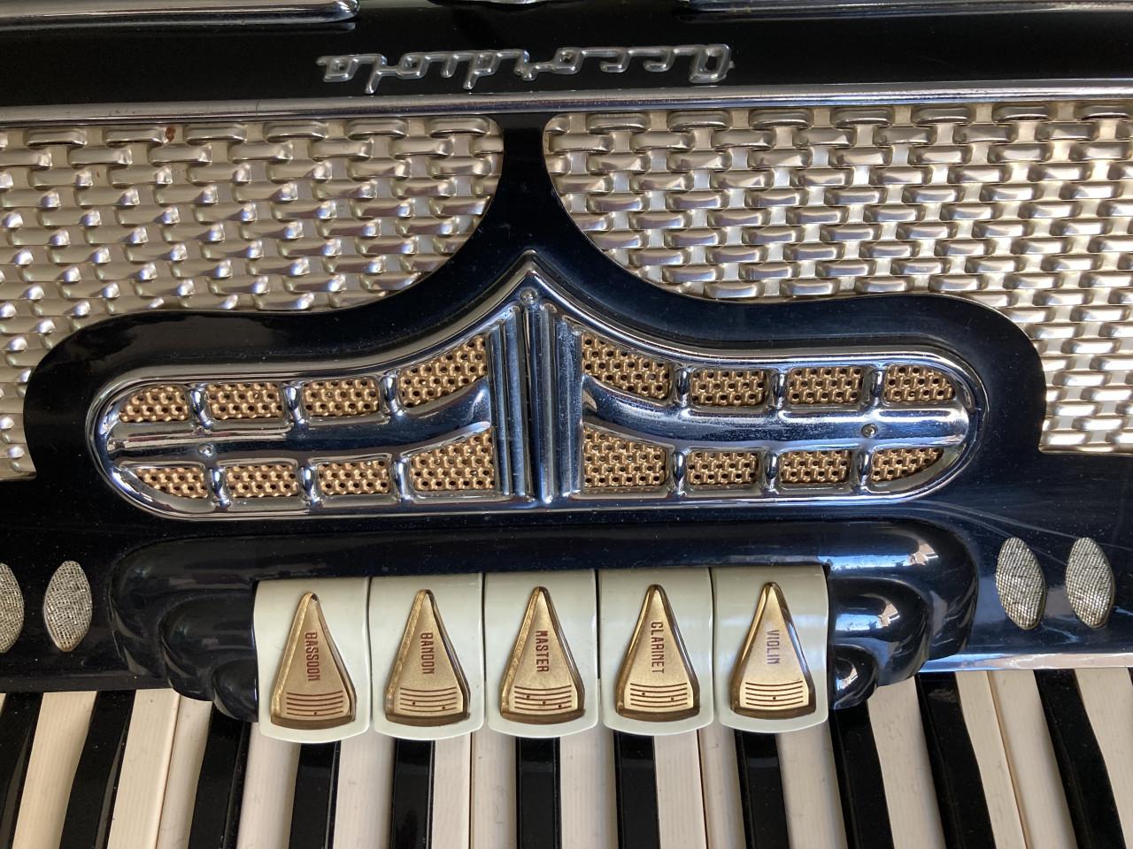 Accordiola accordeon