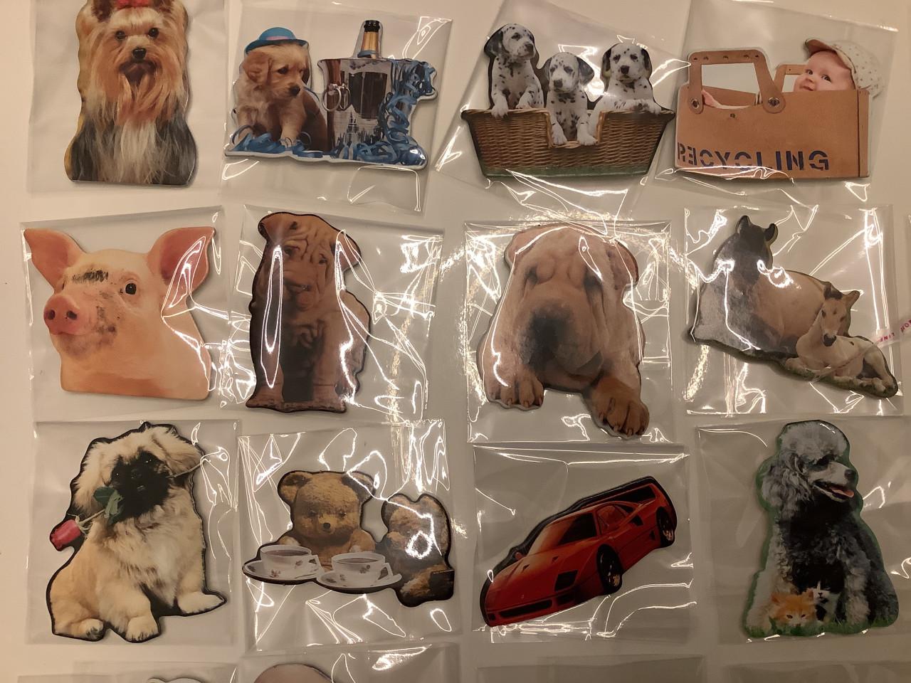 Partij super leuke magneetjes. ( partij 22)