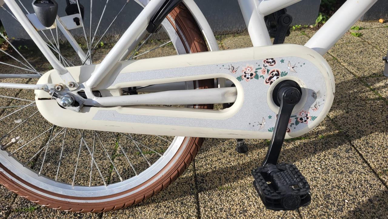 Meisjesfiets Alpina 20 inch met terugtrap rem en handrem voor