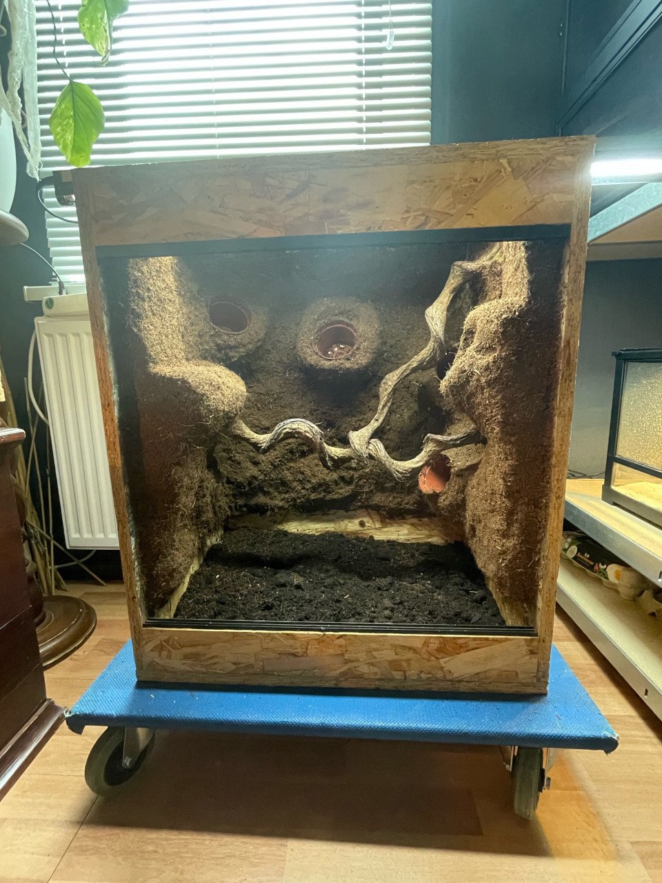 OSB terrarium