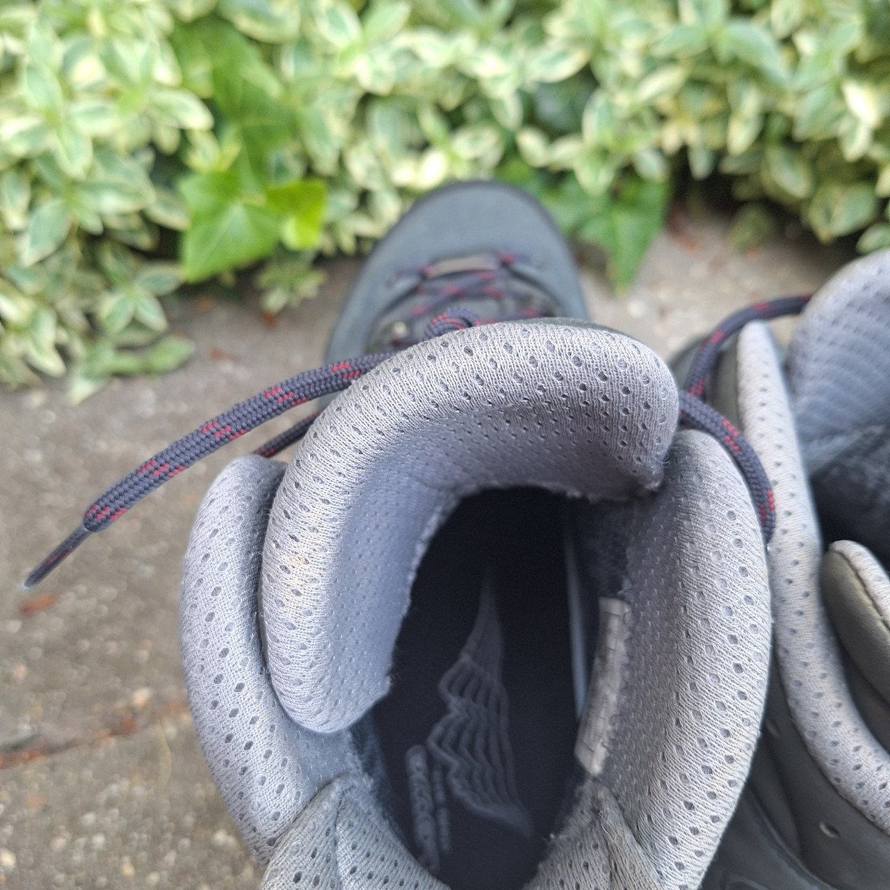 Lowa - Women's Mauria Evo GTX - Wandelschoenen