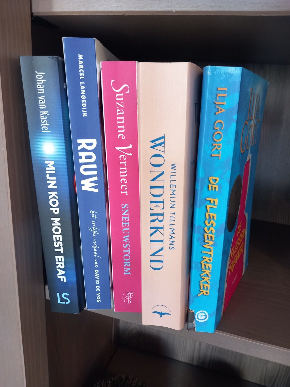 Boeken uitgegeven in 2024 en 2025