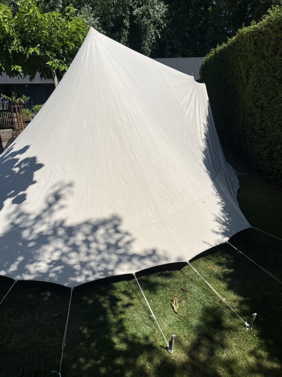 Te koop: De Waard tent Albatros