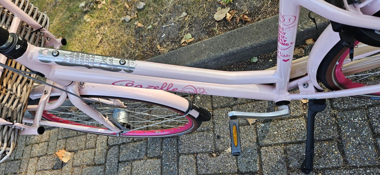 Gazelle Miss Grace Unieke Roze damesfiets