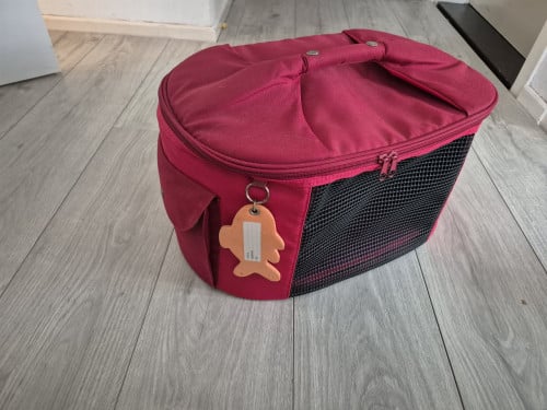 Reismand kat of kleine hond