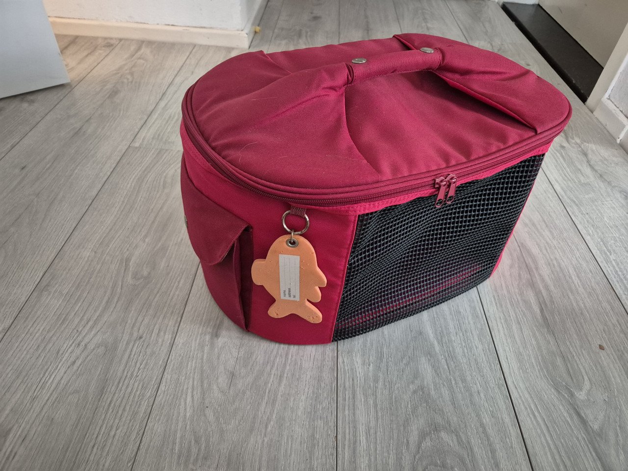 Reismand kat of kleine hond
