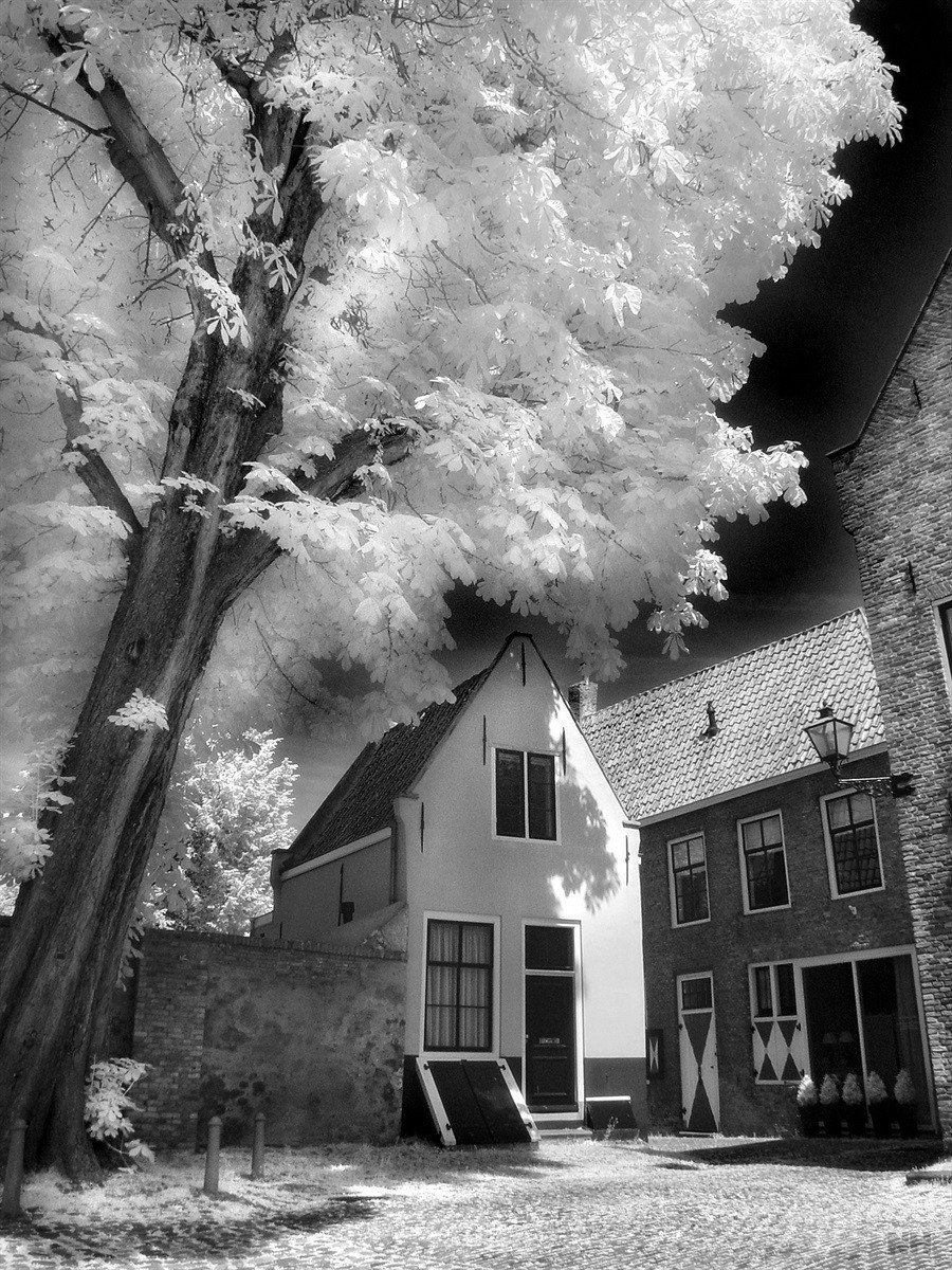 B+W infrarood filters 092 en 093