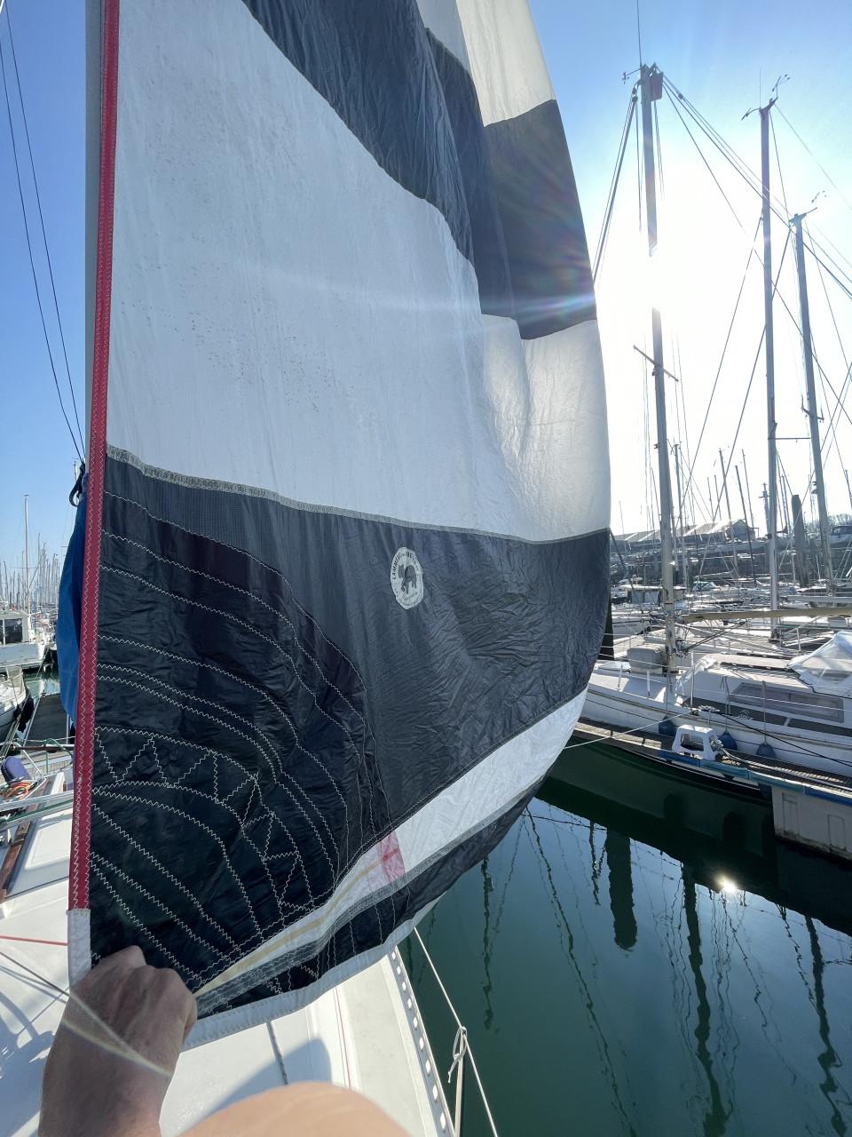 Diverse spinnakers, gennaker en genua