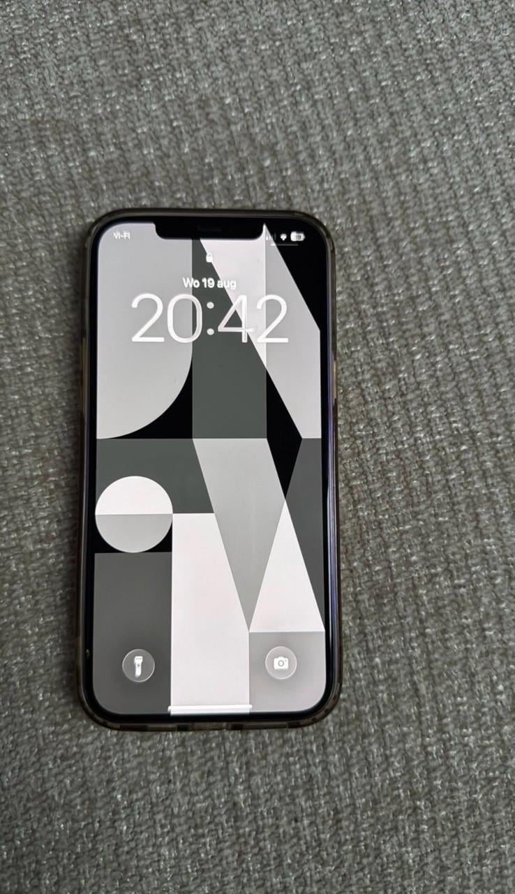 IPhone 12 Pro Max | Zo goed als nieuw