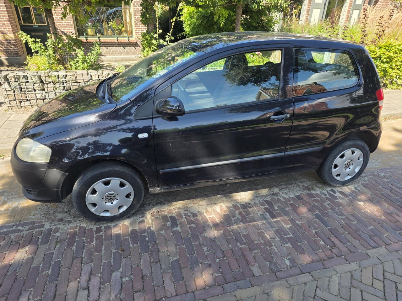 Zuinige Volkswagen Fox.