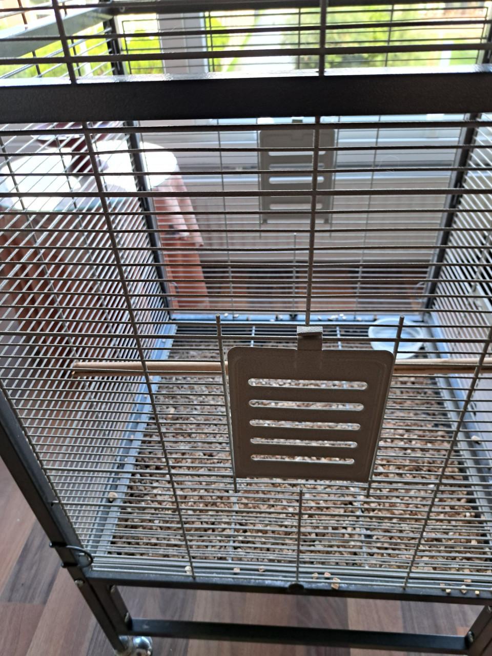 Vogelkooi / Voliére