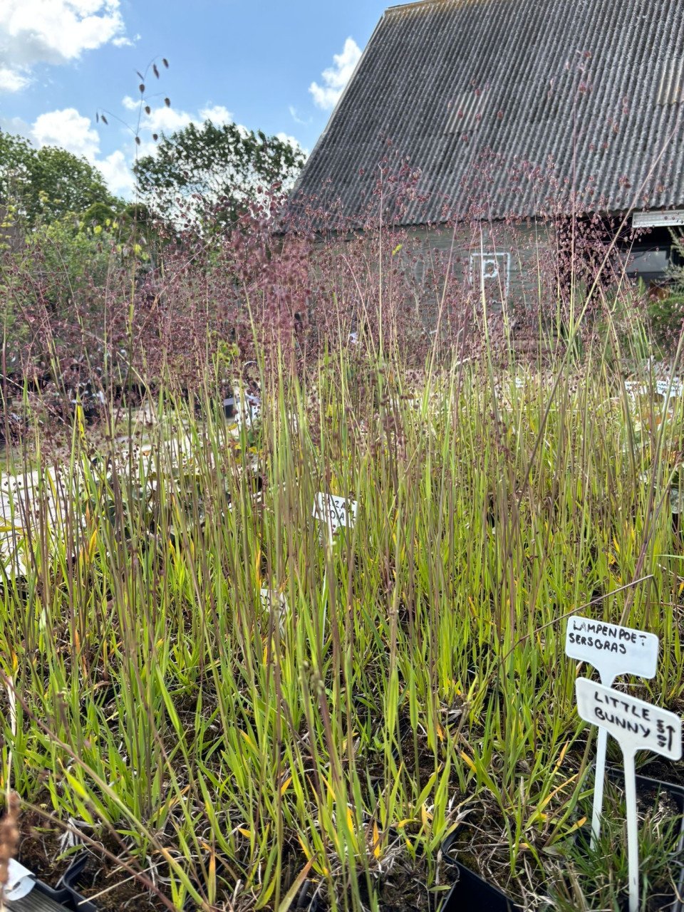 HEMELVAARTSDAG OPEN - PLANTEN EN MEER