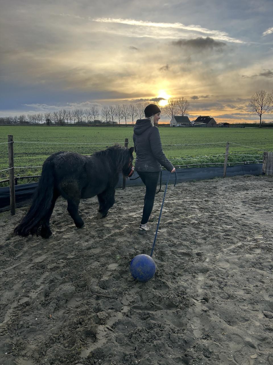 #Equi Pride# gedrag, grondwerk, rijden, Naturel Horsemanship, etc.